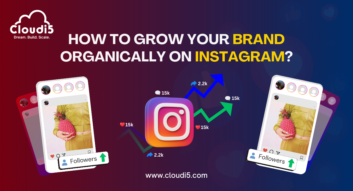 How to Grow Your Brand Organically on Instagram?